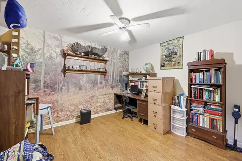 Other - 638 Marie St, Talbott, TN 37877 photo 4 of 6
