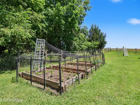 Exterior - 848 Lakeshore Rd, Talbott, TN 37877 photo 6 of 7