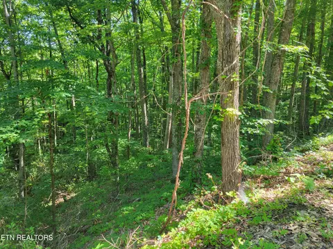 lot20 Sunset Dr, Sevierville, TN 37876