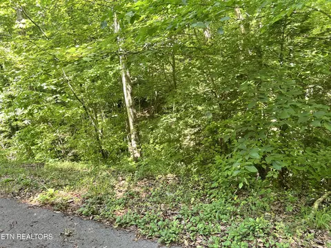 fir drive LOT 110, Sevierville, TN 37876