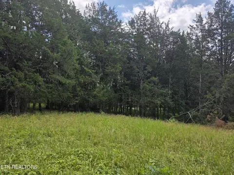 Exterior - 8050 Lett Rd, Corryton, TN 37721 photo 12 of 18