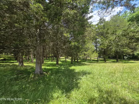Exterior - 8050 Lett Rd, Corryton, TN 37721 photo 13 of 18