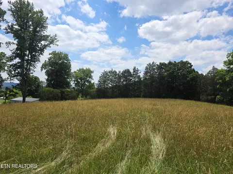 Exterior - 8050 Lett Rd, Corryton, TN 37721 photo 14 of 20