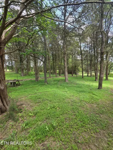 Exterior - 8050 Lett Rd, Corryton, TN 37721 photo 19 of 20