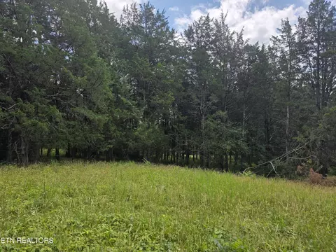 Exterior - 8050 Lett Rd, Corryton, TN 37721 photo 15 of 20