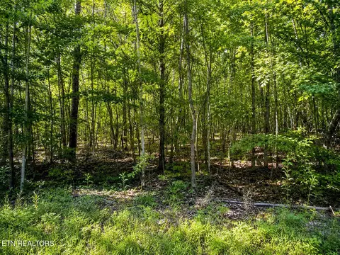 lot5 Keylon Hollow Rd, Ten Mile, TN 37880