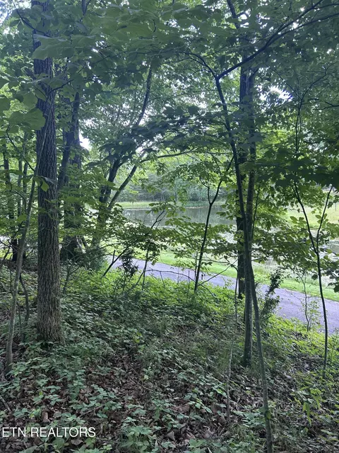 26 Rolling Green Ct, Fairfield Glade, TN 38558