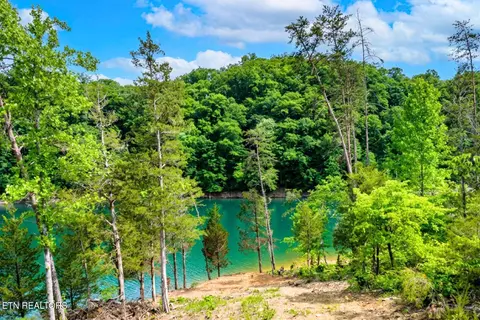 lot15 Black Fox Harbor Rd, Washburn, TN 37888
