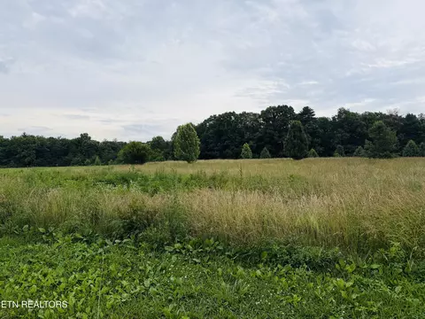 9 8 Acres Tyler Tr, Jamestown, TN 38556