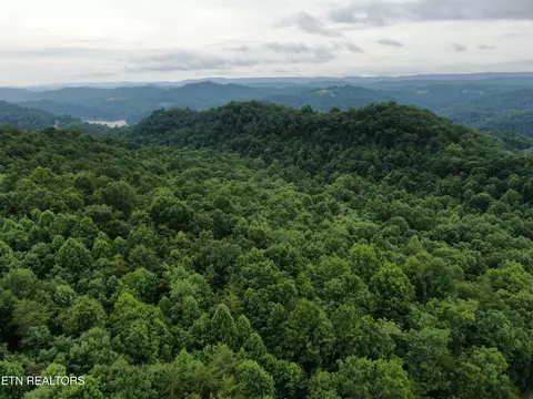 171 Bluff View Rd, New Tazewell, TN 37825