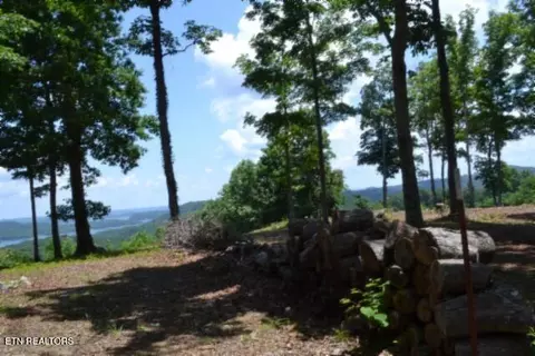 lot27 E C E Rockfish Rd, Hilham, TN 38568 photo 11