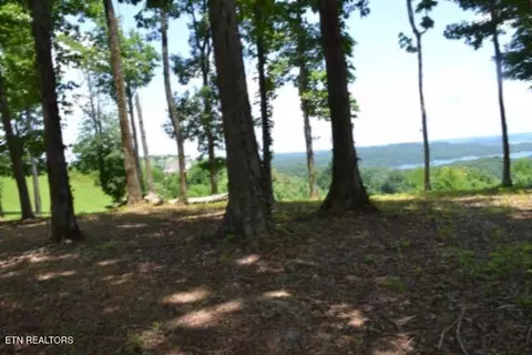 lot27 E C E Rockfish Rd, Hilham, TN 38568 photo 14