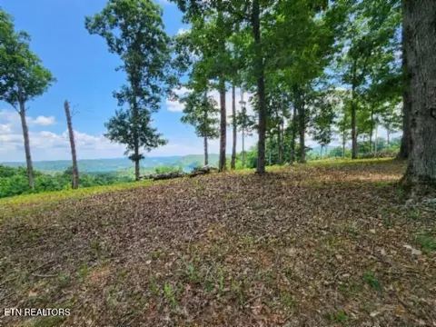 lot27 E C E Rockfish Rd, Hilham, TN 38568 photo 7