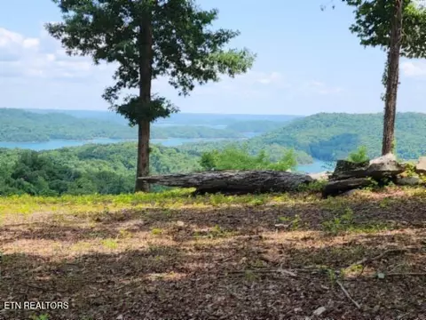 lot27 E C E Rockfish Rd, Hilham, TN 38568 photo 8
