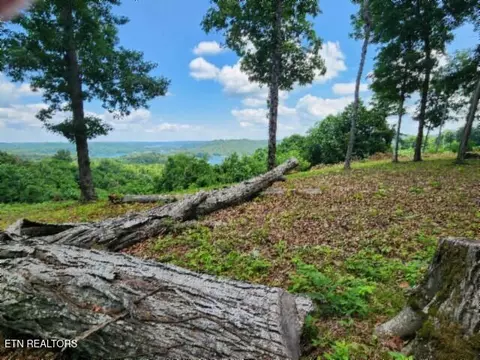 lot27 E C E Rockfish Rd, Hilham, TN 38568 photo 5