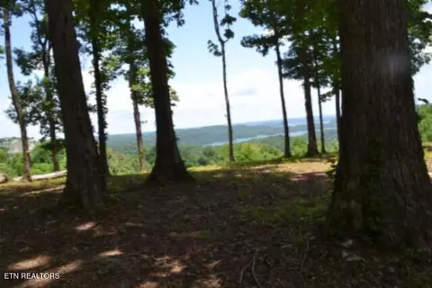 lot27 E C E Rockfish Rd, Hilham, TN 38568 photo 13