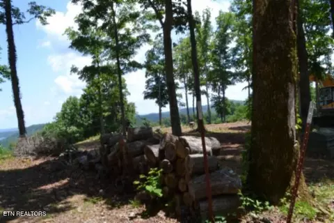 lot27 E C E Rockfish Rd, Hilham, TN 38568 photo 10