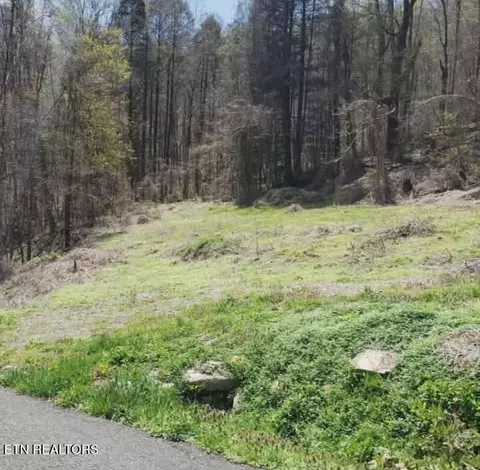 1577 Beans Fork Rd, Middlesboro, KY 40965 photo 4