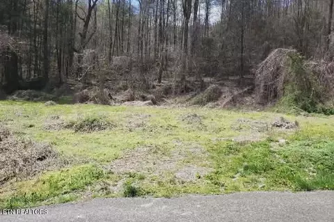 1577 Beans Fork Rd, Middlesboro, KY 40965 photo 3