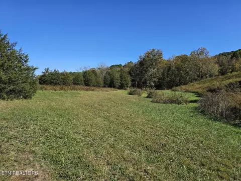 Shoreline Vista, Sharps Chapel, TN 37866