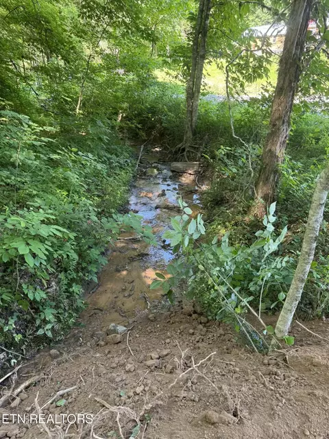 990 Tower Road, Tazewell, TN 37879