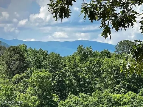 Other - 3328 Sugar Maple Loop Rd, Sevierville, TN 37862 photo 1 of 5