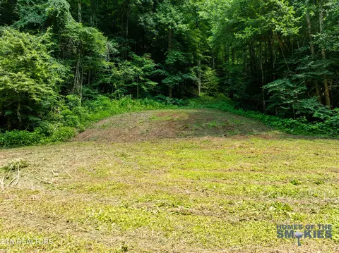 lot1 Carrs Creek Rd, Townsend, TN 37882