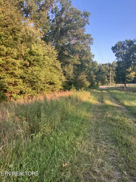 lot10 Holly Dr, Pikeville, TN 37367