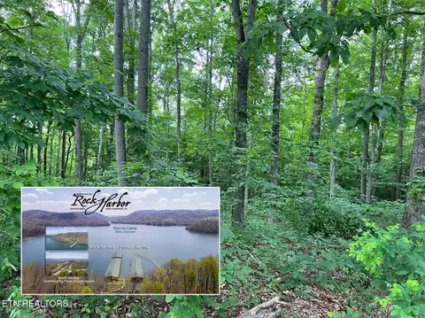 lot240 Tanzanite Tr, New Tazewell, TN 37825