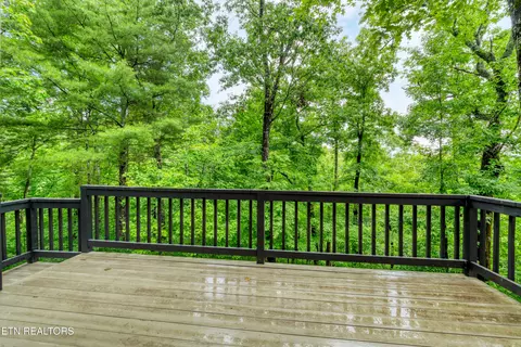 Exterior - 620 Hawk View Dr, Townsend, TN 37882 photo 3 of 11