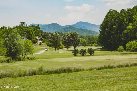 Other - 620 Hawk View Dr, Townsend, TN 37882 photo 10 of 12