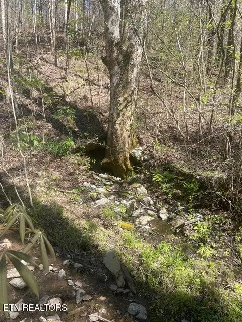 lot1 Old Furnace Rd, Tellico Plains, TN 37385