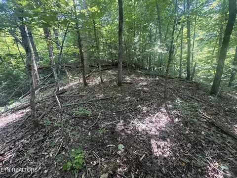 332 Padgett Mill Rd, Cosby, TN 37722