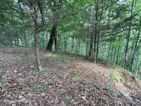 lot188 Chimney Rock Rd, New Tazewell, TN 37825
