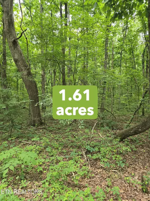 lot3 W Wind Way, Crossville, TN 38572
