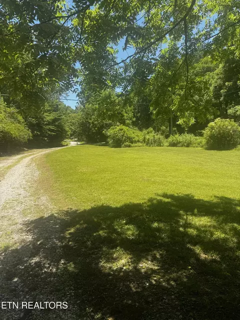 Exterior - 125 Willoughby Ln, Robbins, TN 37852 photo 9 of 12