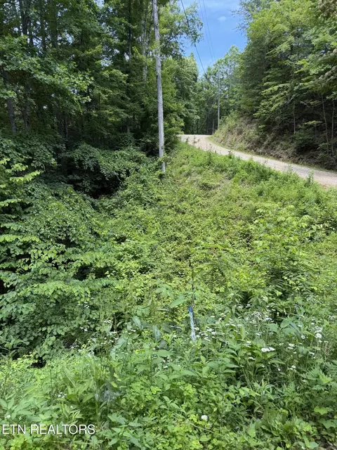 Butternut Lane, Sevierville, TN 37876