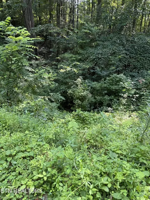 lot56 Butternut Ln, Sevierville, TN 37876