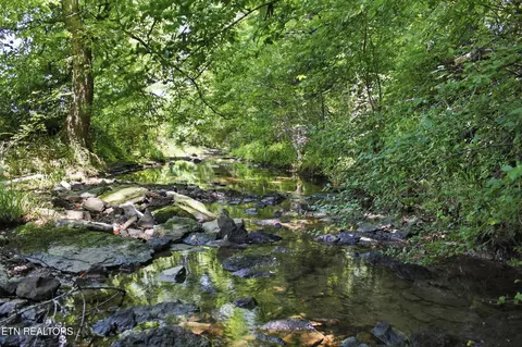 3300 Doyle Frazier Rd, Morrison, TN 37357 photo 4