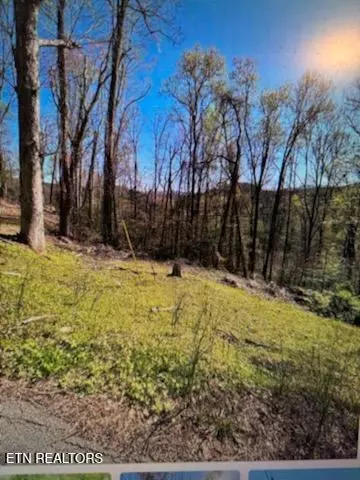Esslinger Dr & Low Gap Rd, Gatlinburg, TN 37738