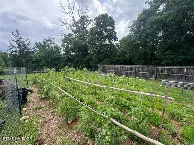 Other - 2320 Tennessee 92, Rutledge, TN 37861 photo 4 of 7