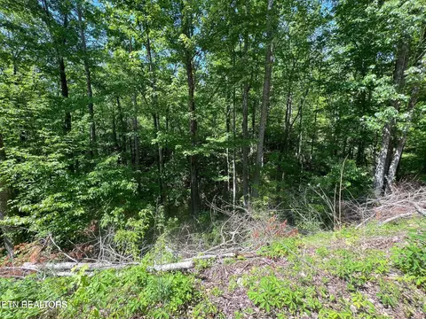 lot26 Black Oak Pl Pl, Sevierville, TN 37876