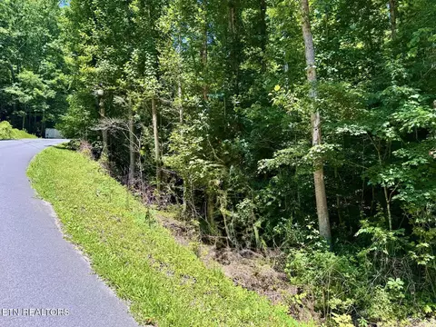 0 Fiesta Blvd, Sevierville, TN 37876