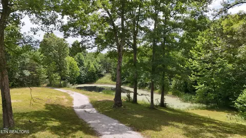 350 Rector Ln, Helenwood, TN 37755