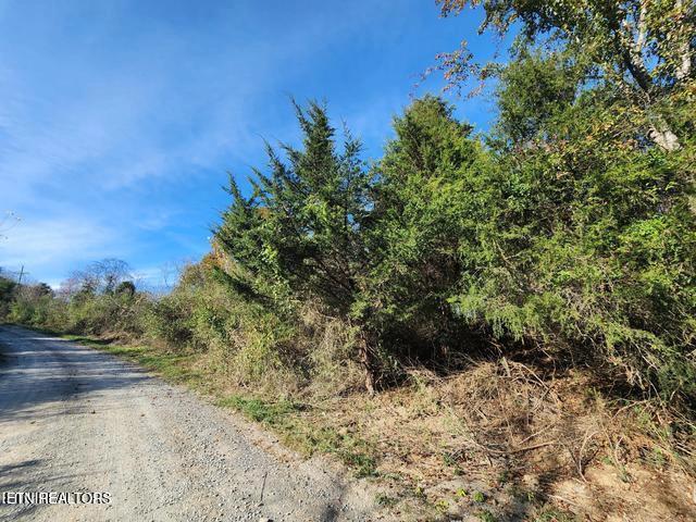 0 Shuler Dr, Pennington Gap, VA 24277