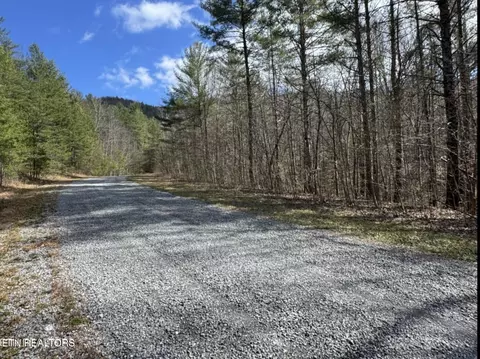 cougar trail tr, Del Rio, TN 37727