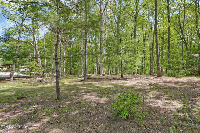 14 Ridge Crest Cir, Fairfield Glade, TN 38558
