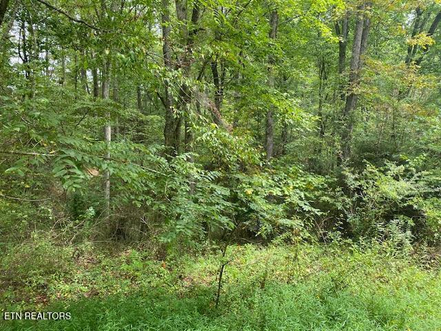 35 Ottoma Dr #LOT 35, Crossville, TN 38555