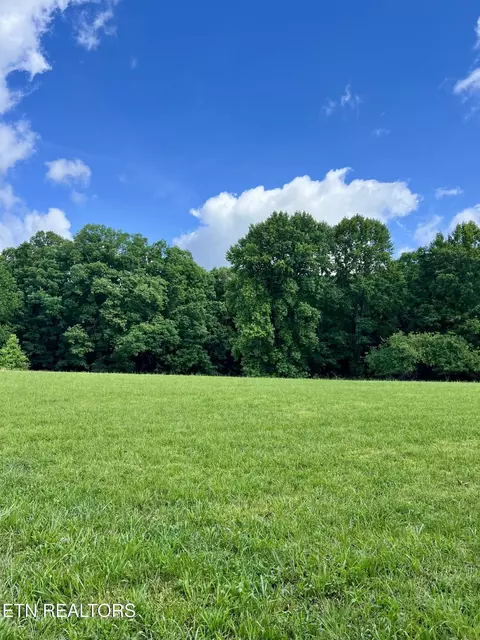 Eli Lane, Oneida, TN 37841 photo 3