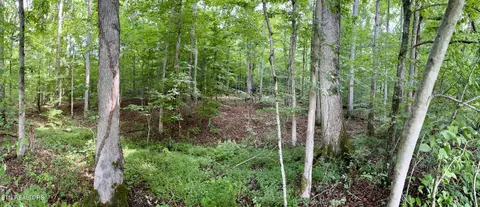 Eli Lane, Oneida, TN 37841 photo 7